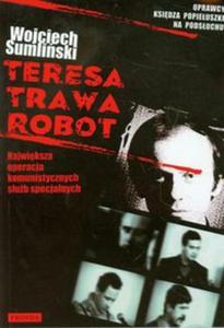 Teresa Trawa Robot - 2857648603