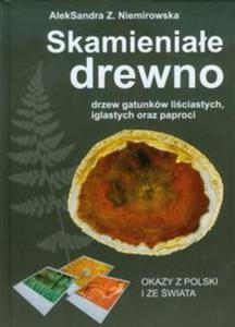 Skamieniae drewno - 2857649185