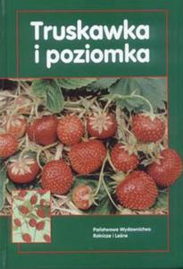 Truskawka i poziomka