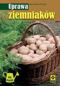 Uprawa ziemniaków