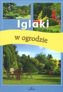 Iglaki w ogrodzie