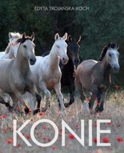 Konie - 2857654597