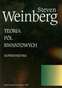 Teoria pól kwantowych t.3 Supersymetria