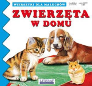 Zwierzta w domu - 2857655581