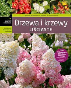 Drzewa i krzewy liciaste - 2857656337