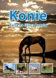 Konie Suita na cztery kopyta - 2857658150