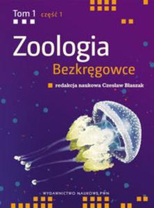 Zoologia Bezkrgowce tom 1 cz 1