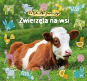 Maluch poznaje Zwierzta na wsi - 2825657663