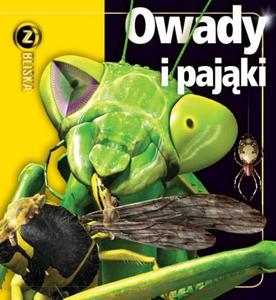 Owady i pajki. Z bliska