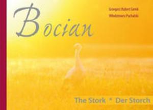 Bocian - 2857664899
