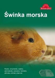 winka morska