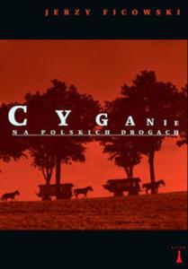 Cyganie na polskich drogach - 2857666399