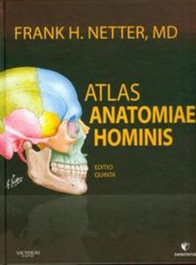 Atlas anatomii czowieka Nettera - 2857666741