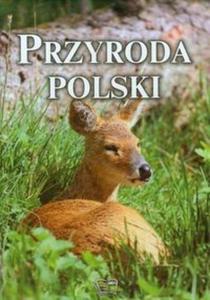 Przyroda Polski - 2857668258