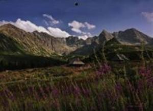 Kalendarz 2014 Tatry trjdzielny - 2857669352