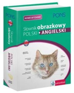 Sownik obrazkowy Polski Angielski - 2857670166