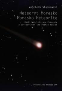 Meteoryt Morasko - 2857673238