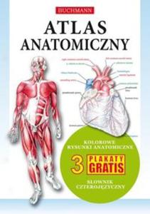 Atlas anatomiczny - 2857673805