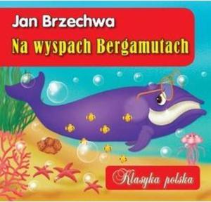 NA WYSPACH BERGAMUTA KARTON KLASYKA WILGA 9788328002500 - 2857673807