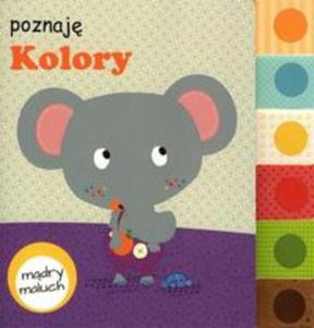 Mdry maluch Poznaj kolory - 2857676280