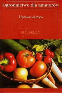 Uprawa warzyw. Ogrodnictwo dla amatorw - 2857677438