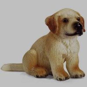 Golden Retriver szczeniak - 2857684308