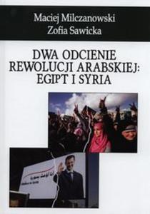 Dwa odcienie rewolucji arabskiej: Egipt i Syria - 2857685836