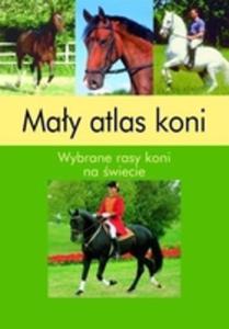 May atlas koni. Wybrane rasy koni na wiecie - 2825659651