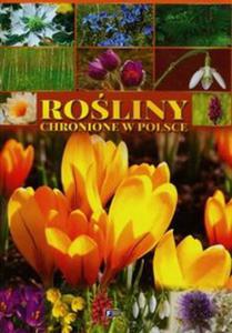 Roliny chronione w Polsce