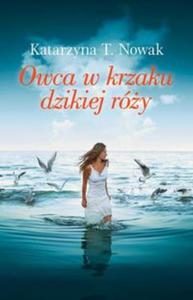 Owca w krzaku dzikiej ry - 2857694984