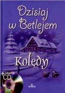 Koldy. Dzisiaj w Betlejem + CD-ROM - 2825660274