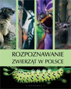 Rozpoznawanie zwierzt w Polsce