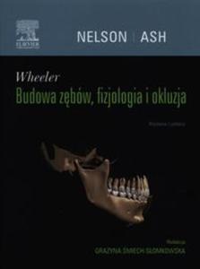 Wheeler Budowa zbw, fizjologia i okluzja - 2857695792