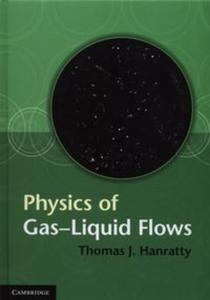 Physics of Gas-Liquid Flows - 2857697394