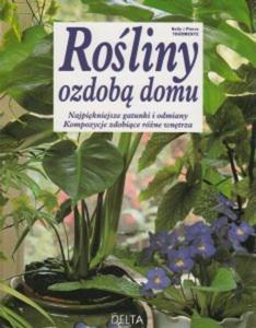 Roliny ozdob domu - 2857699993