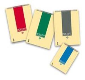 Kołonotatnik A6 Pigna Styl w kratkę 60 kartek mix kolorów - 2857700547