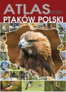 ATLAS PTAKÓW POLSKI OP. FENIX 9788377056592