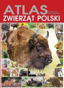 Altas zwierzt Polski. Ilustrowana encyklopedia