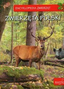 Encyklopedia zwierzt Zwierzta Polski