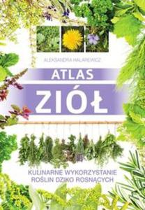 Atlas zió