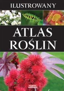 Ilustrowany Atlas Rolin - 2857714890