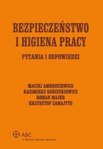 Bezpieczestwo i higiena pracy - 2857715652