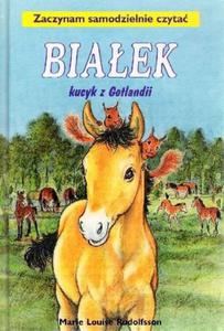 Biaek - kucyk z Gotlandii. Zaczynam samodzielnie czyta