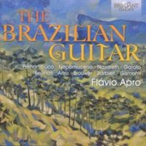 Brazilian Guitar - 2857719565