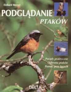 Podgldanie ptakw - 2825662070