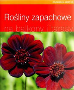 Roliny zapachowe na balkony i tarasy - 2825662090