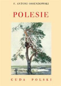 Polesie - 2857724331