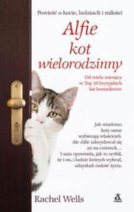 Alfie - kot wielorodzinny - 2857725359