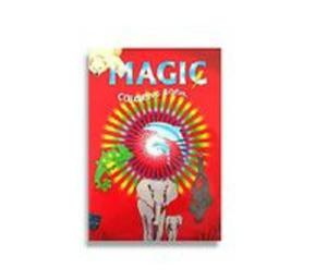 Magic Coloring Book Large - Magiczna kolorowanka - 2857729312