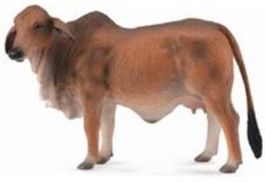 KROWA CZERWONA BRAHMAN (DOMOWE - L) - 2857729627